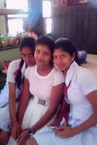 Sri lankan random